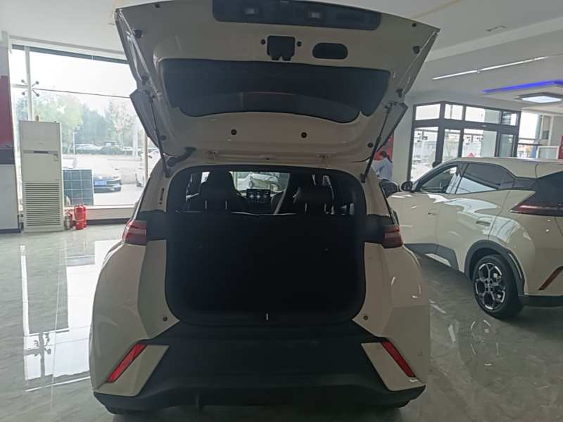 Used BYD Seagull 2024 Honor Edition 305km Freedom Version — 18