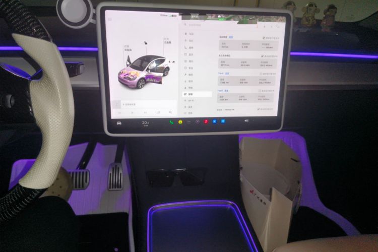 Used Tesla Model Y 2021 Standard Range Rear-Wheel Drive Version
