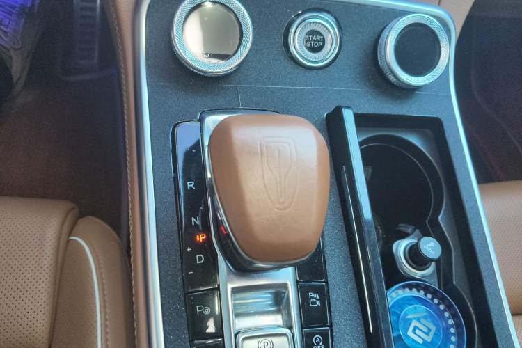 Used Hongqi H9 2020 2.0T Smart Connect Flagship Edition Gear Lever